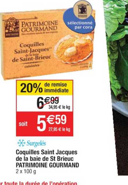 coquilles saint jacques de la baie de st brieuc patrimoine gourmand 20% remise immédiate