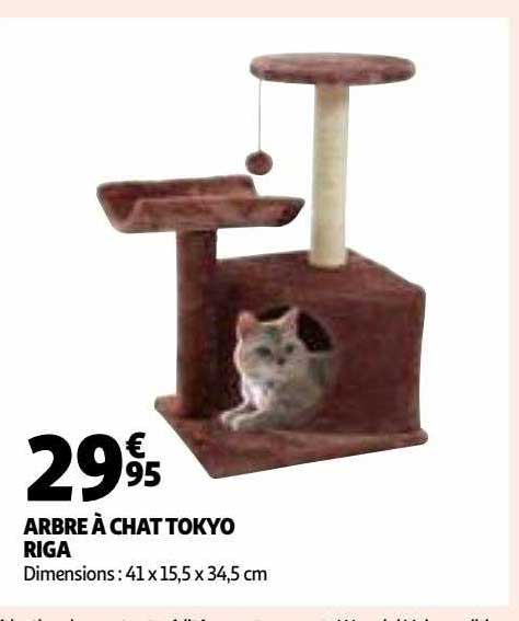 Arbre à Chat Tokyo Riga