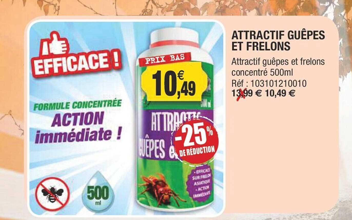 attractif guêpes et frelons