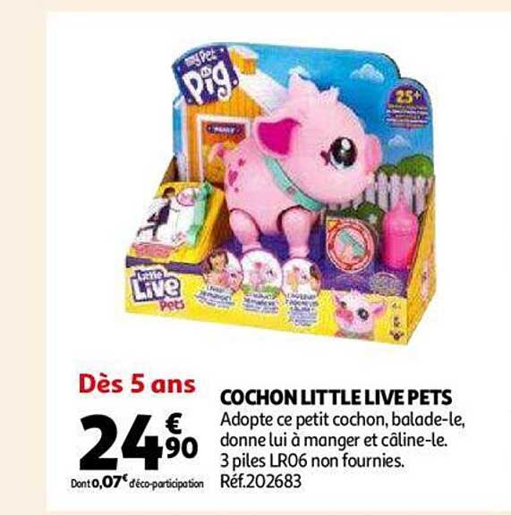 cochon little live pets