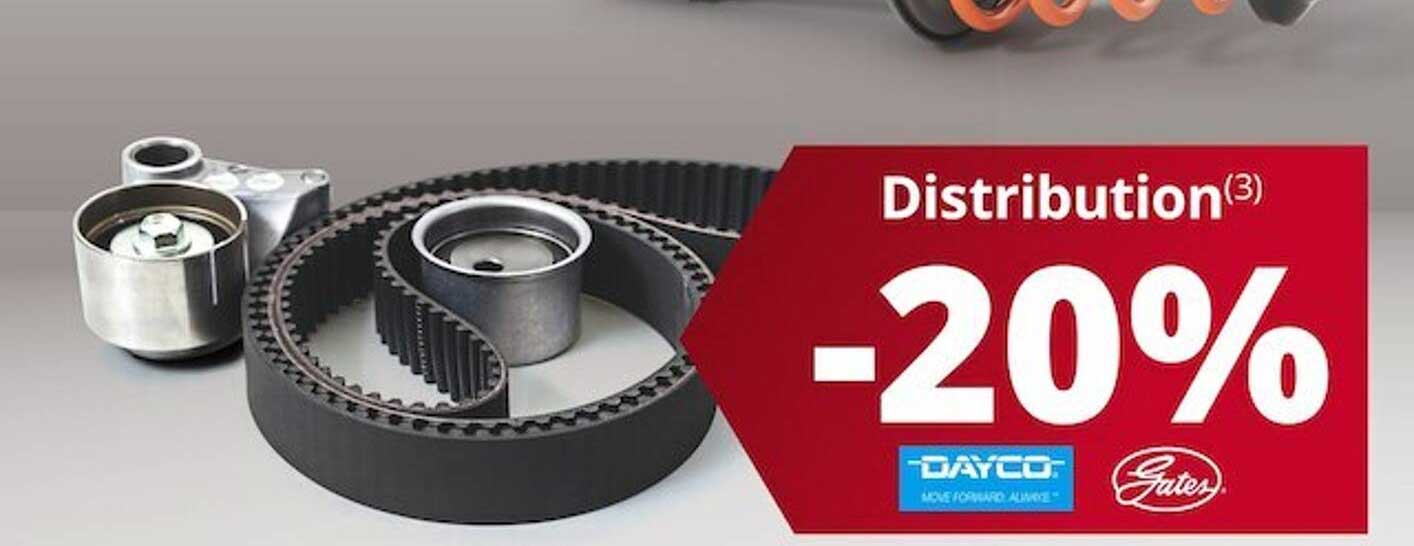 distribution dayco