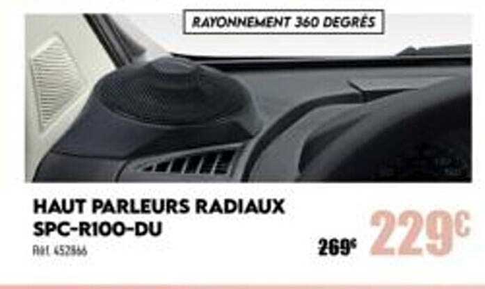 haut parleurs radiaux spc-r100-du