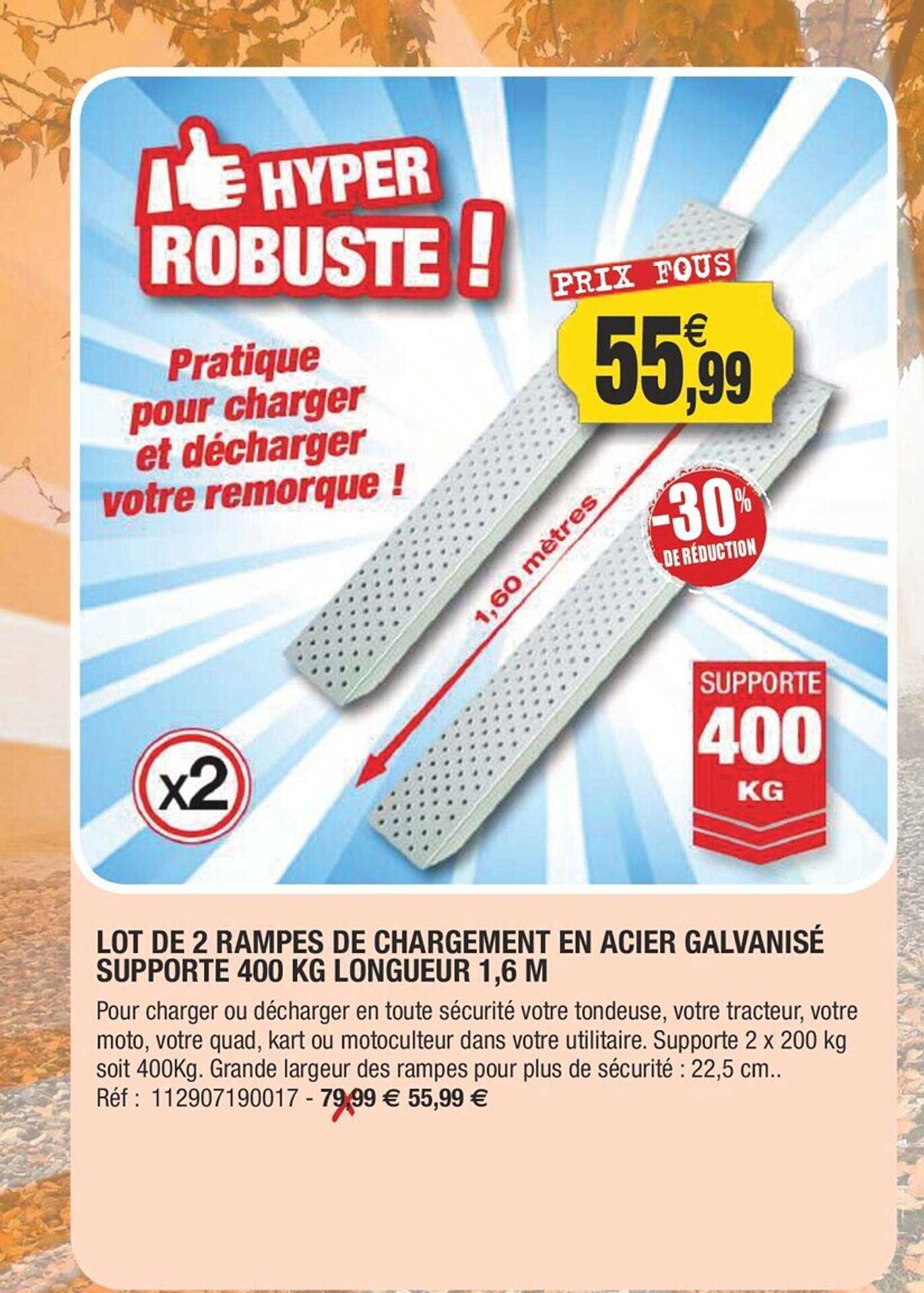 lot de 2 rampes de chargement en acier galvanisé supporte 400 kg longueur 1,6 m