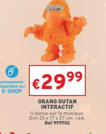 Orang Outan Interactif