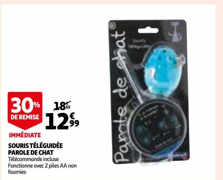 souris téléguidée parole de chat