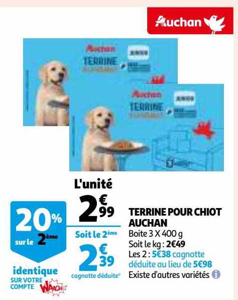 terrine pour chiot auchan