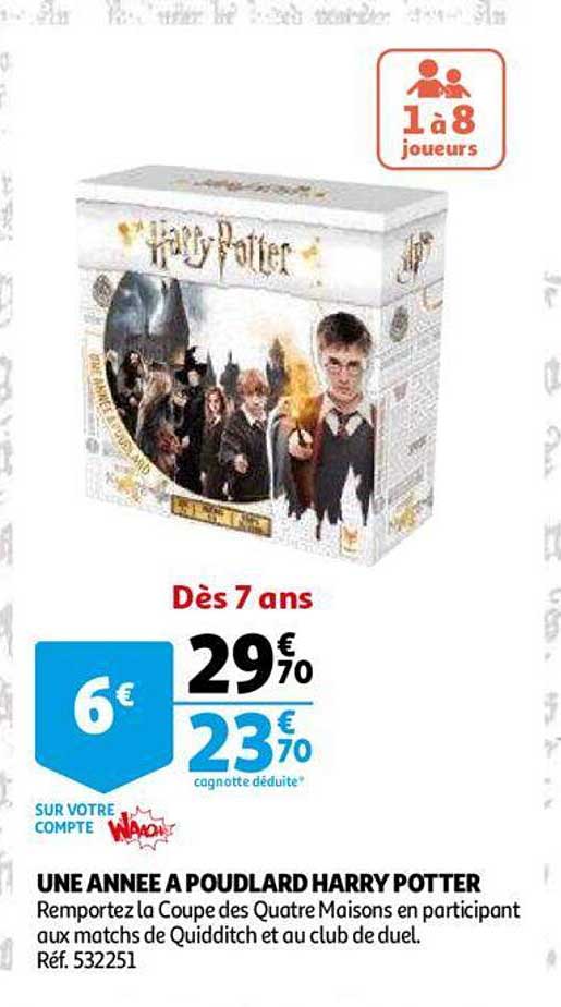 une année à poudlard harry potter