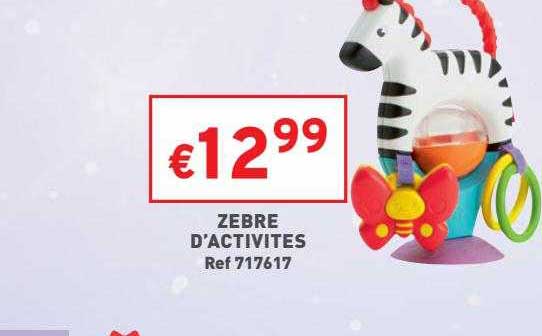 Zèbre D'activités