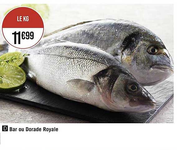 Bar Ou Dorade Royale