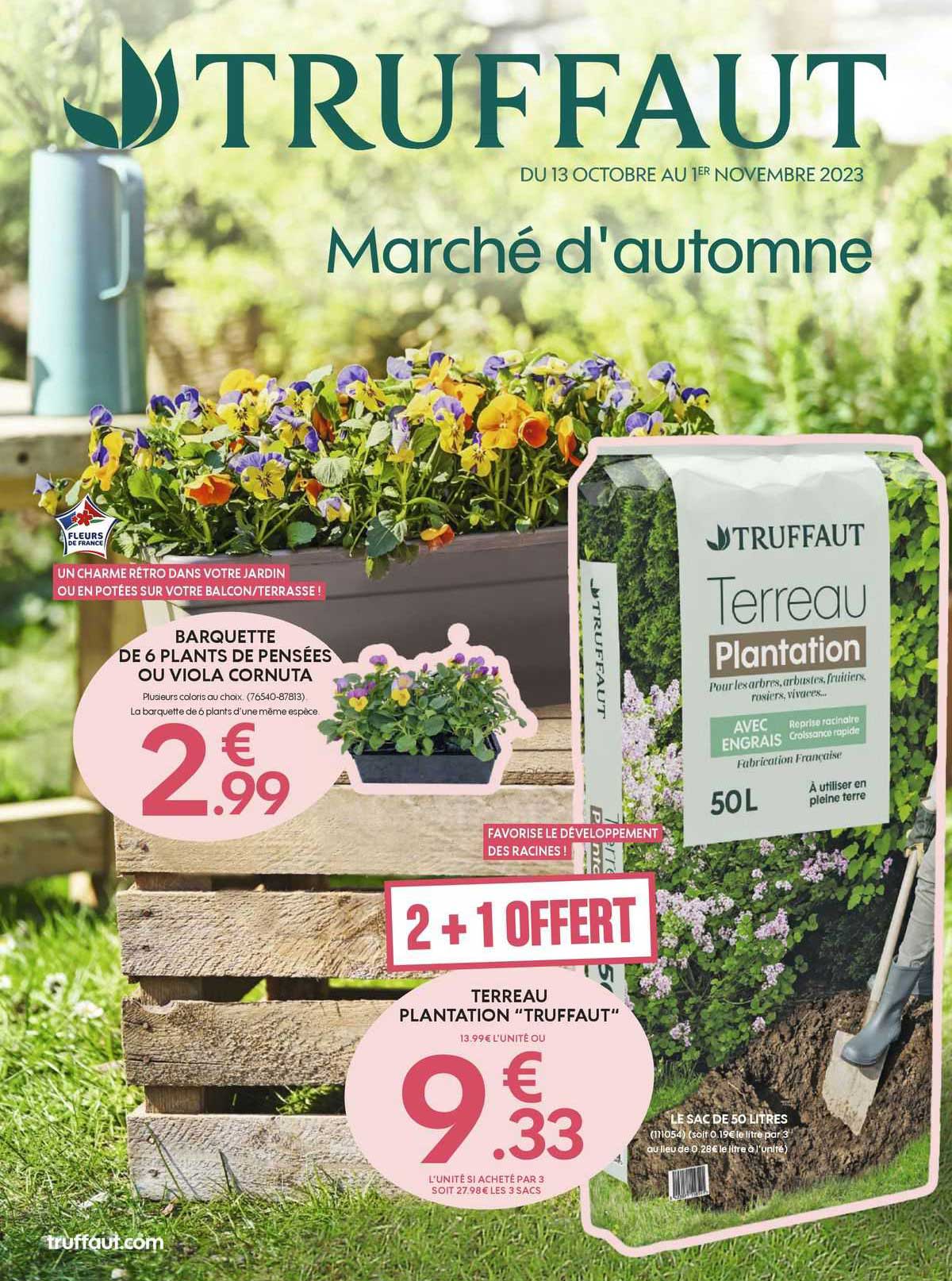 barquette de 6 plants de pensées ou viola cornuta, terreau plantation "trufaut"