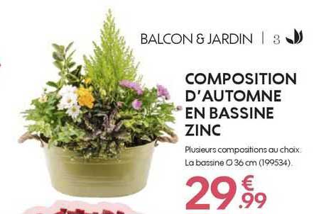 composition d'automne en bassine zinc