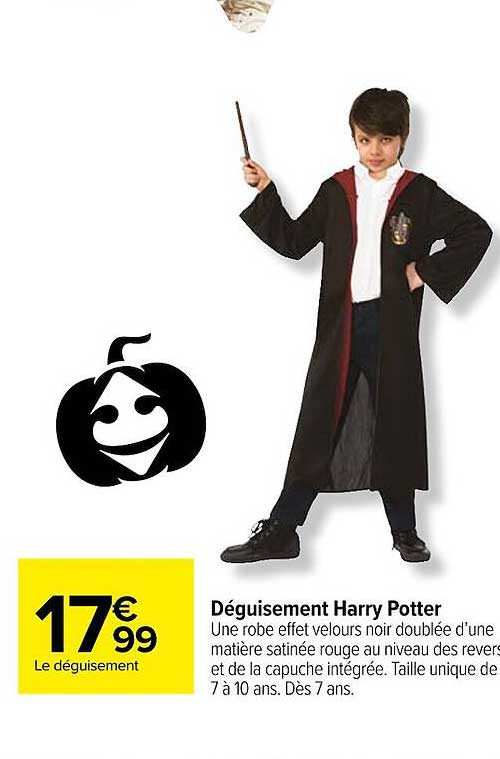 deguisement harry potter