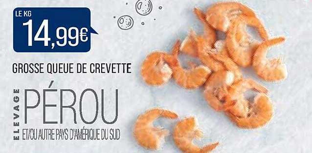 grosse queue de crevette