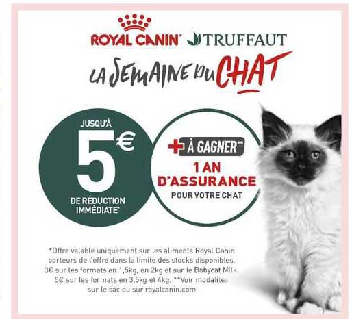 la semaine du chat royal canin