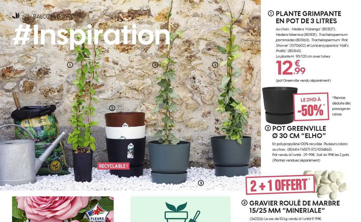 plante grimpante en pot de 3 litres, pot greenville ø 30 cm "elho", gravier roulé de marbre 15/25 mm "mineriale"