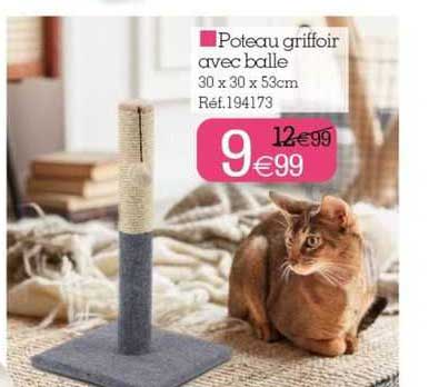 Poteau Griffoir Avec Balle