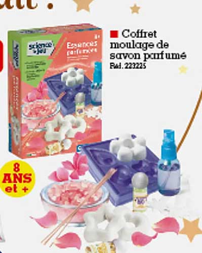 Coffret Moulage De Savon Parfumé