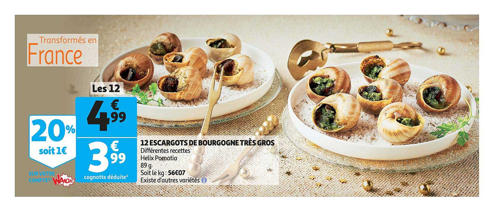 12 escargots de bourgogne très gros