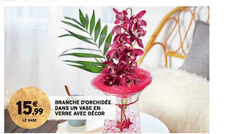branche d'orichidée dans un vase en verre avec décor