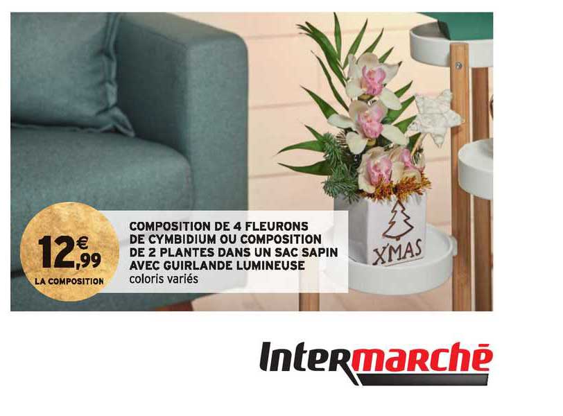 composition de 4 fleurons de cymbidum ou composition de 2 plantes dans un sac sapin avec guirlande lumineuse