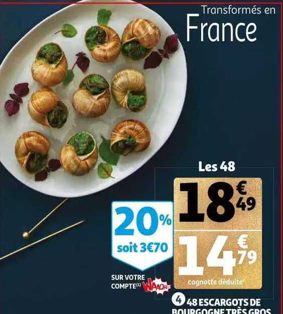48 escargots de bourgogne très gros