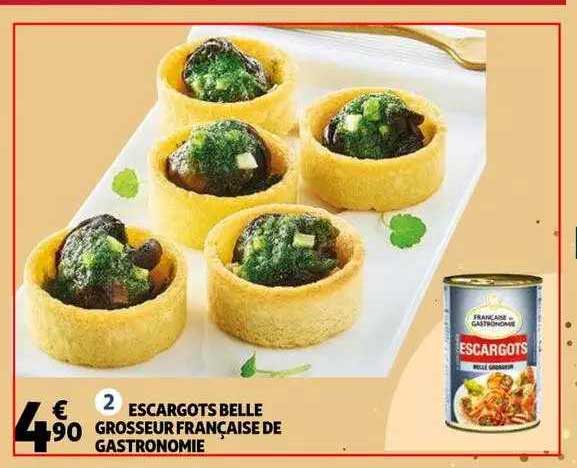 escargots belle grosseur française de gastronomie
