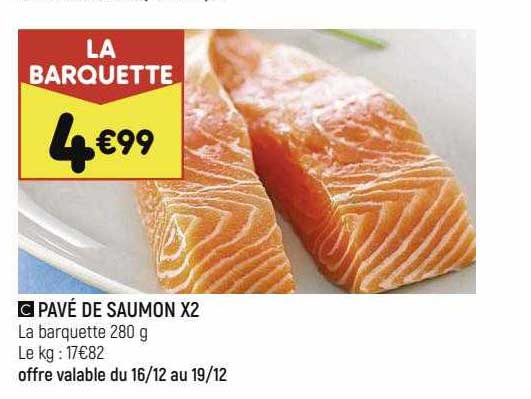 Pavé De Saumon X2