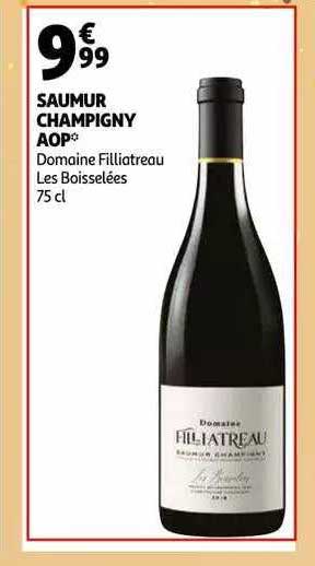 saumur champigny aop domaine filliatreau les boisselées