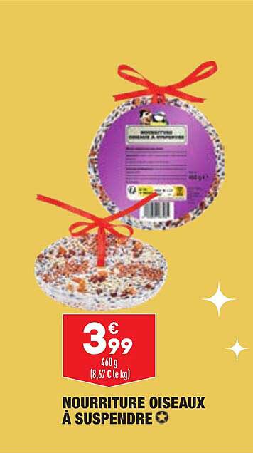nourriture oiseaux à suspendre