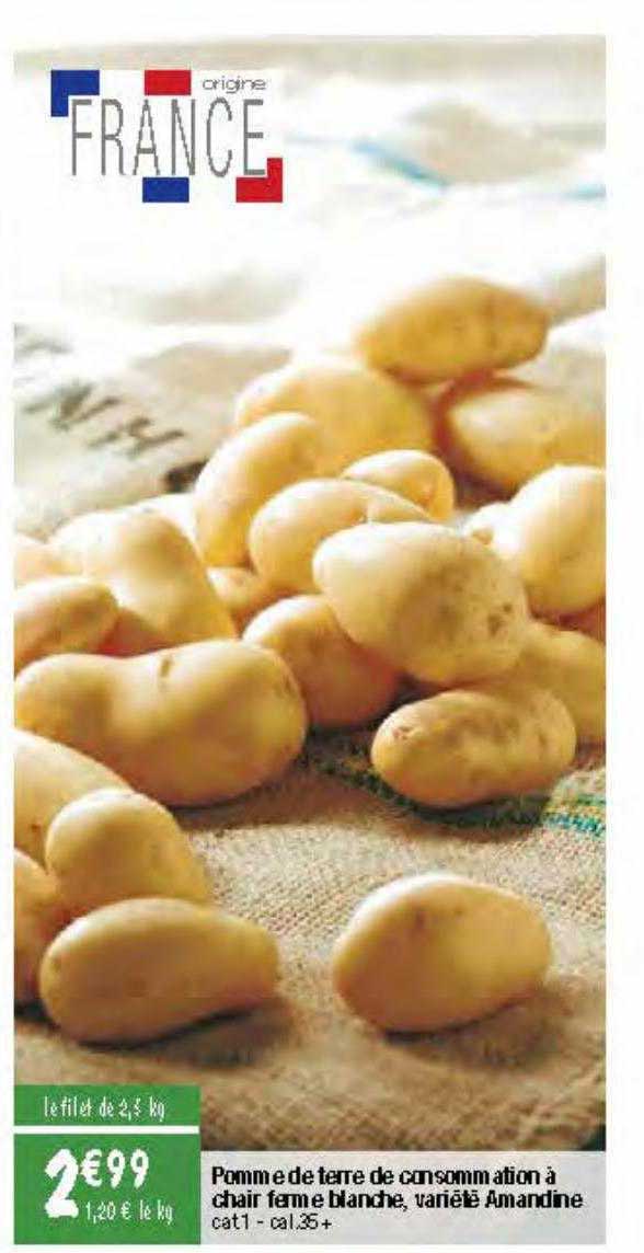 pomme de terre de consommation à chair ferme blanche, variété amandine