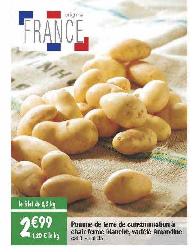 pomme de terre de consommation à chair ferme blanche, variété amandine