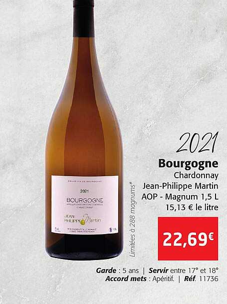 2021 bourgogne chardonnay jean-philippe martin aop - magnum