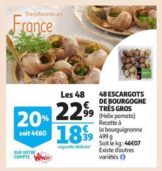 48 escargots de bourgogne très gros