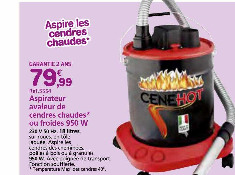 aspirateur avaleur de cendres chaudes ou froides 950 w