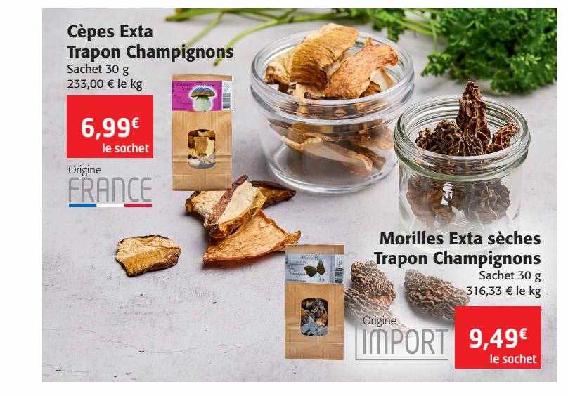 Cèpes Exta Ou Morilles Exta Sèches Trapon Champignons