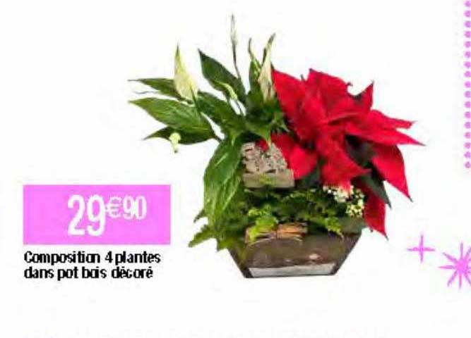 composition 4 plantes dans pot bois décoré