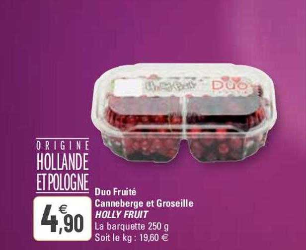 duo fruité canneberge et groseille holly fruit