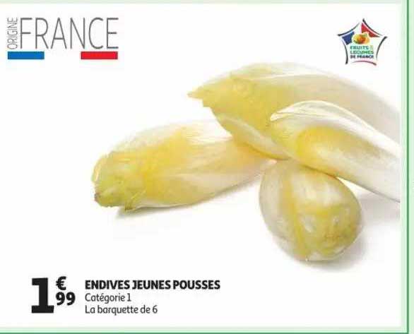 endives jeunes pousses