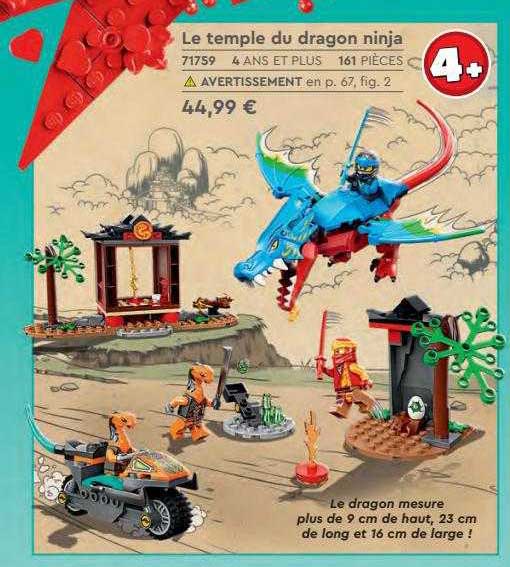 Le Temple Du Dragon Ninja
