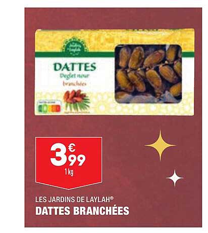 les jardins de laylah dattes branchées