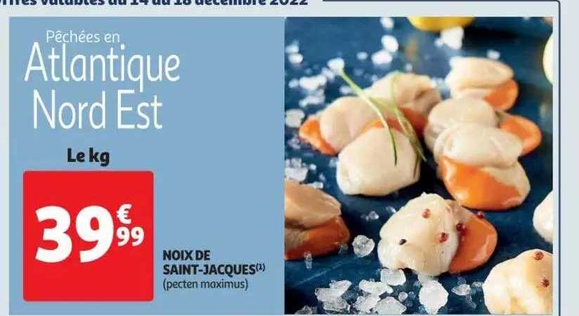 noix de saint-jacques