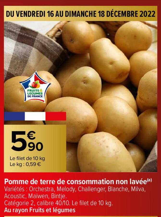 pomme de terre de consommation non lavée