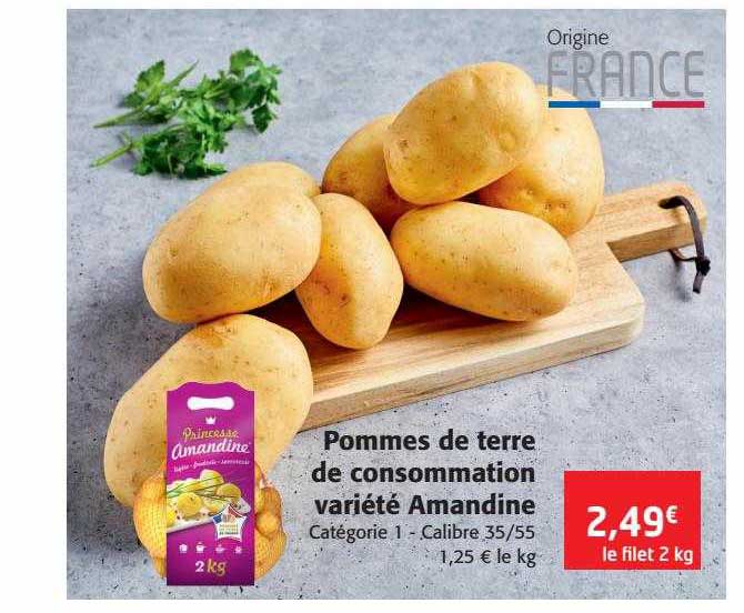 pommes de terre de consommation variété amandine
