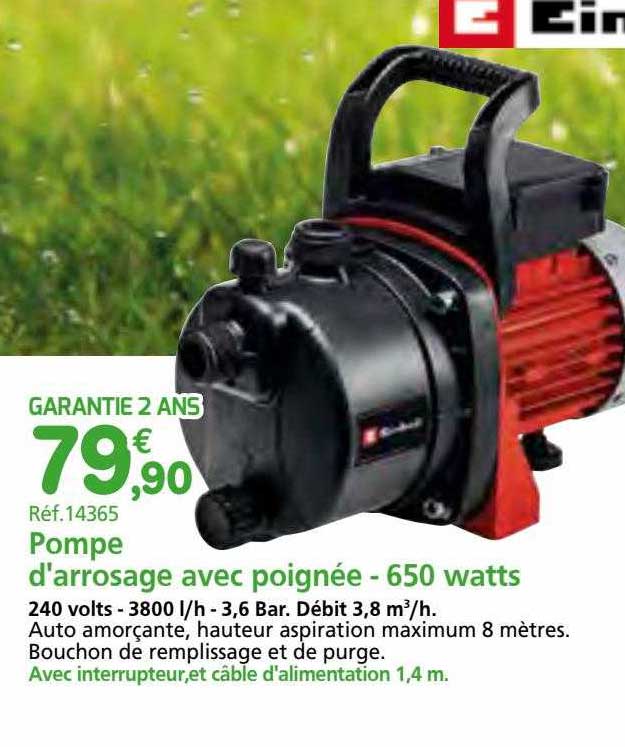 Pompe D'arrosage Avec Poingnée - 650 Wattts Einhell