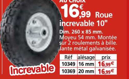 roue increvable 10"