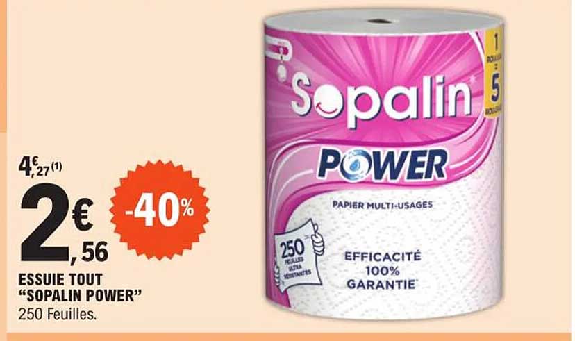 essuie tout "sopalin power"