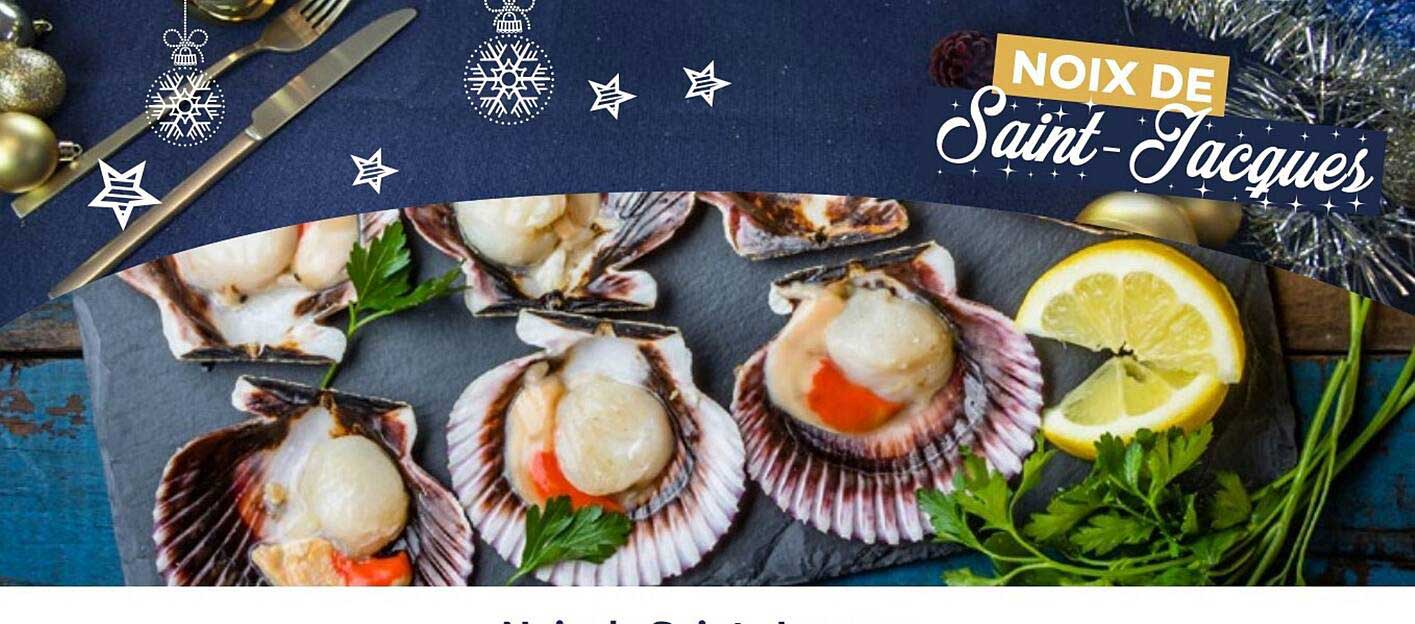noix de saint-jacques