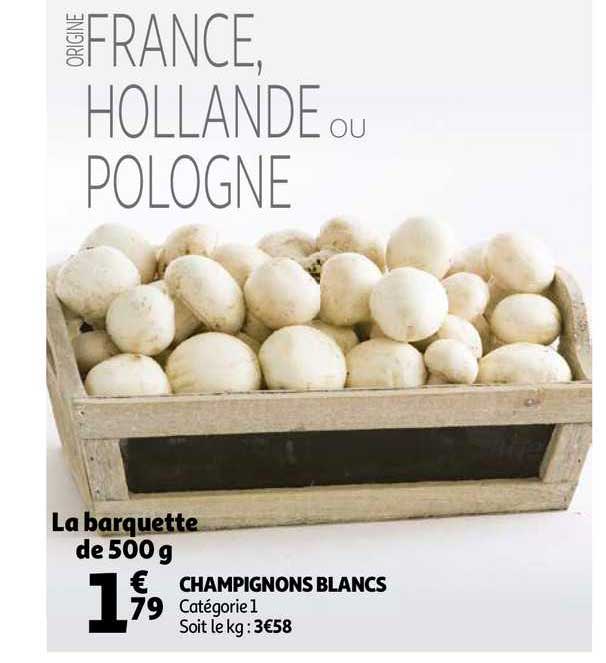 Champignons Blancs