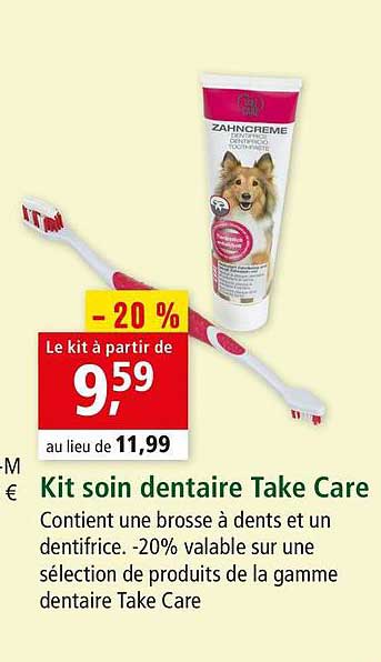 kit soin dentaire take care