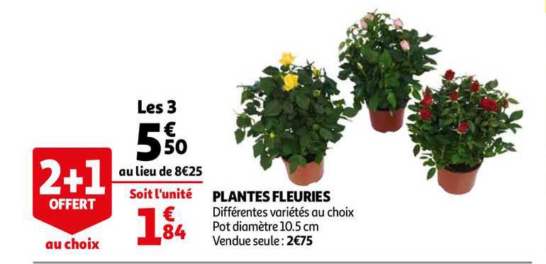 plantes fleuries